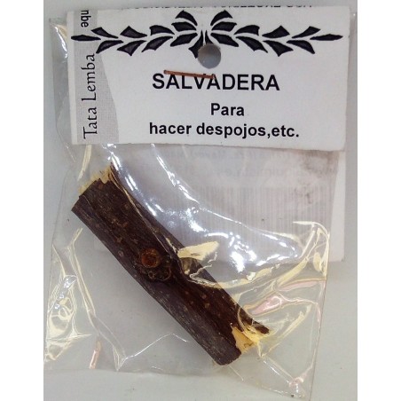 PALO SALVADERA